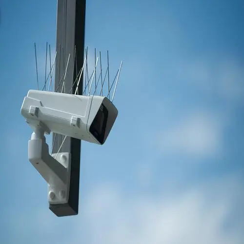 Netting Crafters Anti Bird Spikes in Chennai and its various locations, including Anna Nagar, Adyar, Besant Nagar, Velachery, T. Nagar, Nungambakkam, Thiruvanmiyur and Tamil Nadu