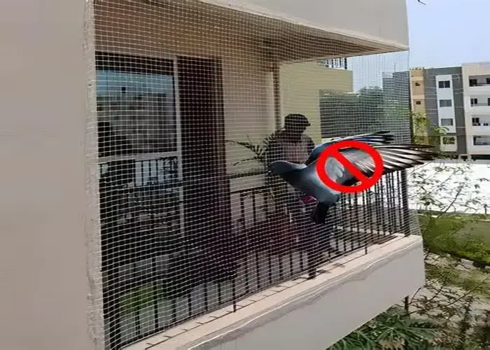 Netting Crafters Pigeon Control Nets in Chennai and its various locations, including Anna Nagar, Besant Nagar, Velachery, T. Nagar, Adyar, Nungambakkam, Thiruvanmiyur and Tamil Nadu